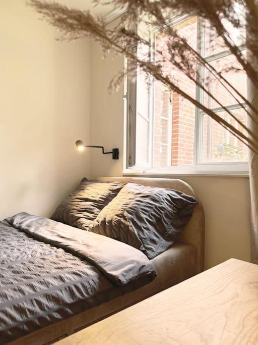 Natural Apartment In The City Center - Old Town Wrocław Zewnętrze zdjęcie