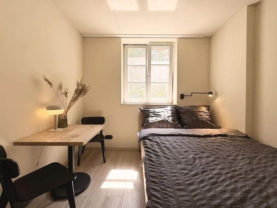 Natural Apartment In The City Center - Old Town Wrocław Zewnętrze zdjęcie
